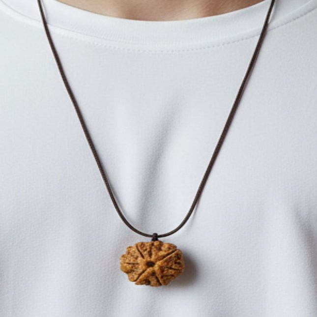 Authentic Nepal 7 Mukhi Rudraksha - 18mm - 22mm