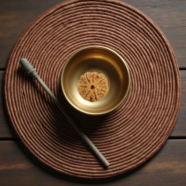 Kashi Divine Siddh Authentic Nepal 7 Mukhi Rudraksha - 18mm - 22mm